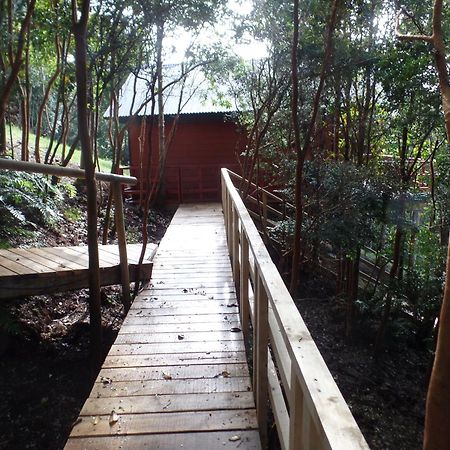 Parque Natural Rio Bravo Lodge カストロ エクステリア 写真