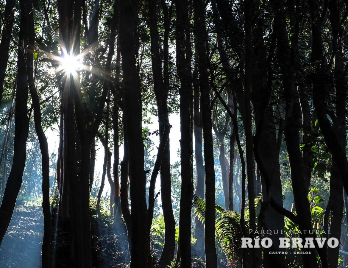 Parque Natural Rio Bravo Lodge カストロ エクステリア 写真