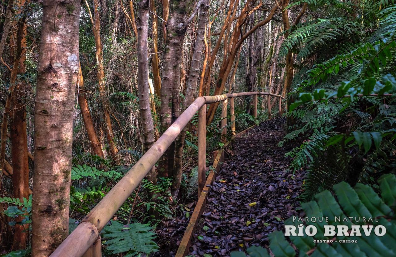 Parque Natural Rio Bravo Lodge カストロ エクステリア 写真