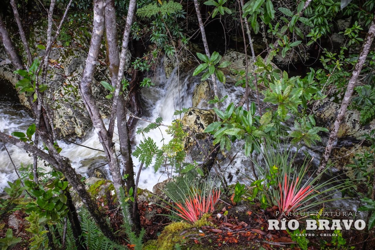 Parque Natural Rio Bravo Lodge カストロ エクステリア 写真