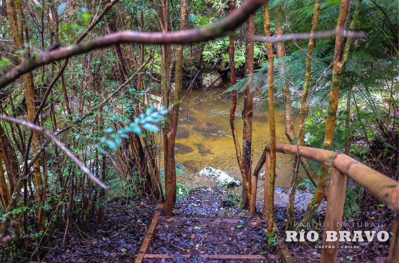 Parque Natural Rio Bravo Lodge カストロ エクステリア 写真