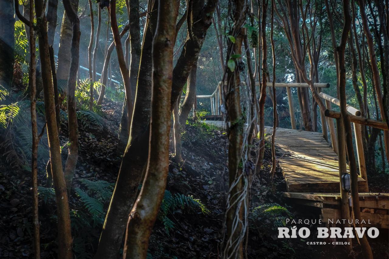 Parque Natural Rio Bravo Lodge カストロ エクステリア 写真