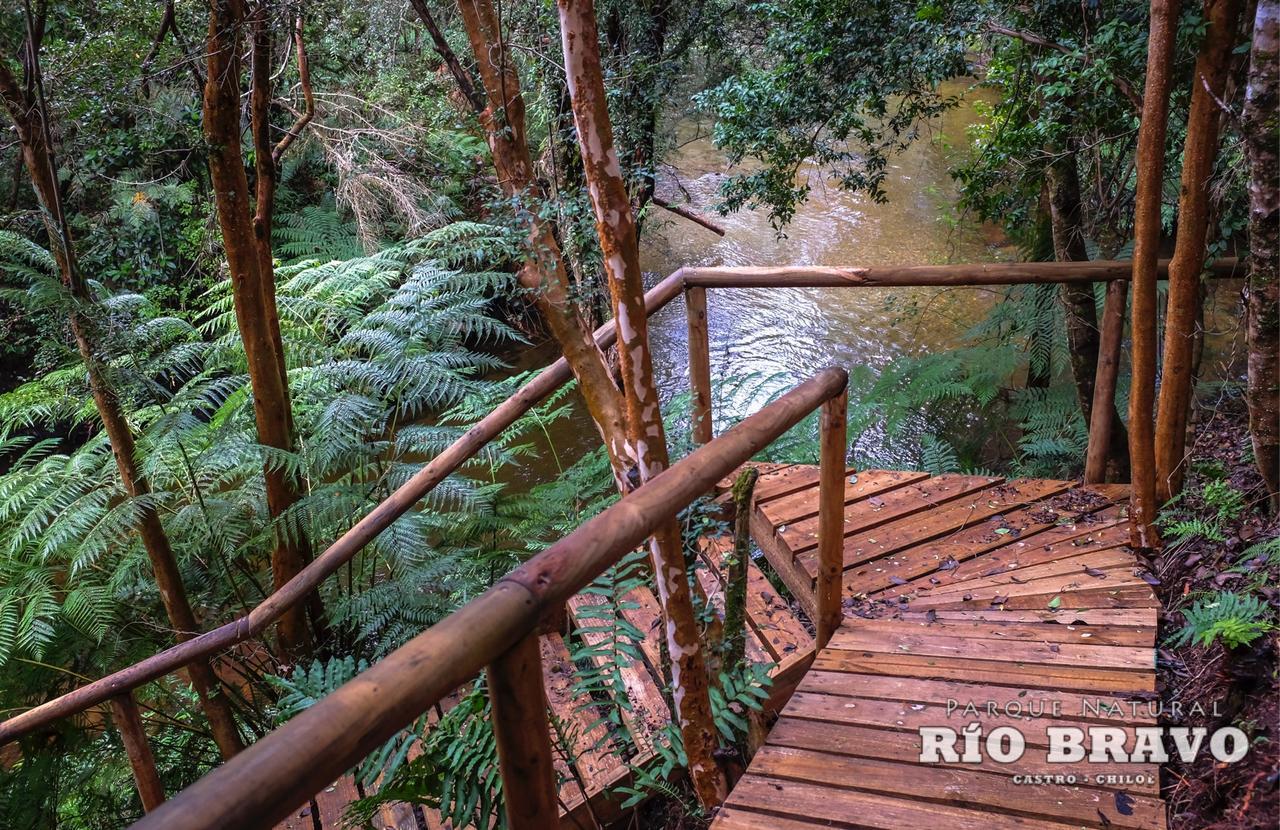 Parque Natural Rio Bravo Lodge カストロ エクステリア 写真
