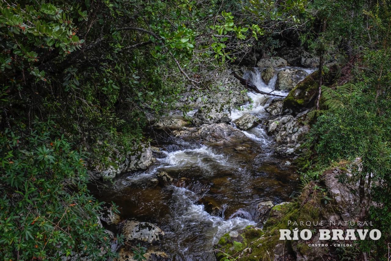 Parque Natural Rio Bravo Lodge カストロ 部屋 写真