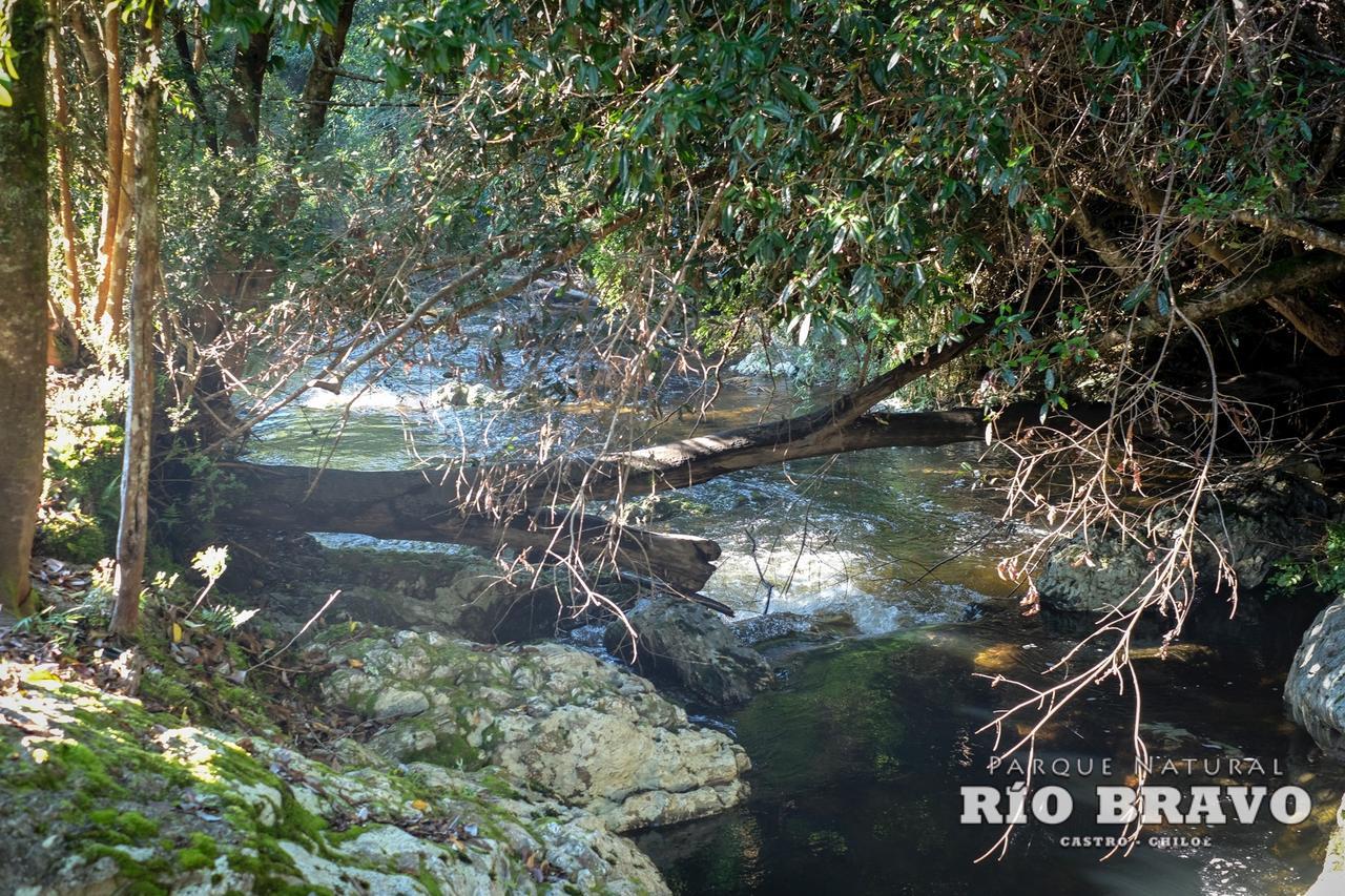 Parque Natural Rio Bravo Lodge カストロ エクステリア 写真